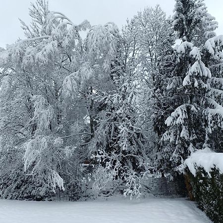 Le Carlton Daire Chamonix Dış mekan fotoğraf